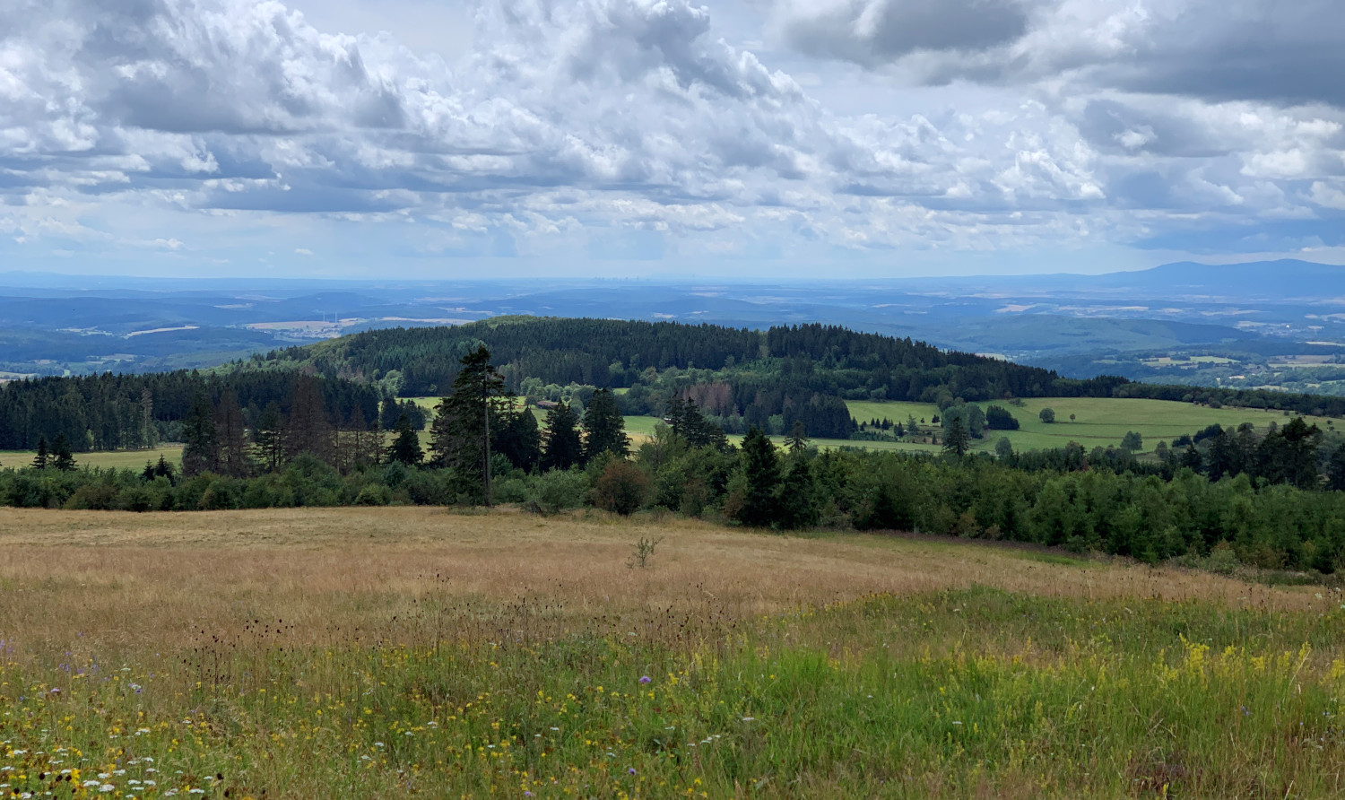 Eine Landschaft mit Hügeln, Wäldern und einer blühenden Wiese unter einem bewölkten Himmel.